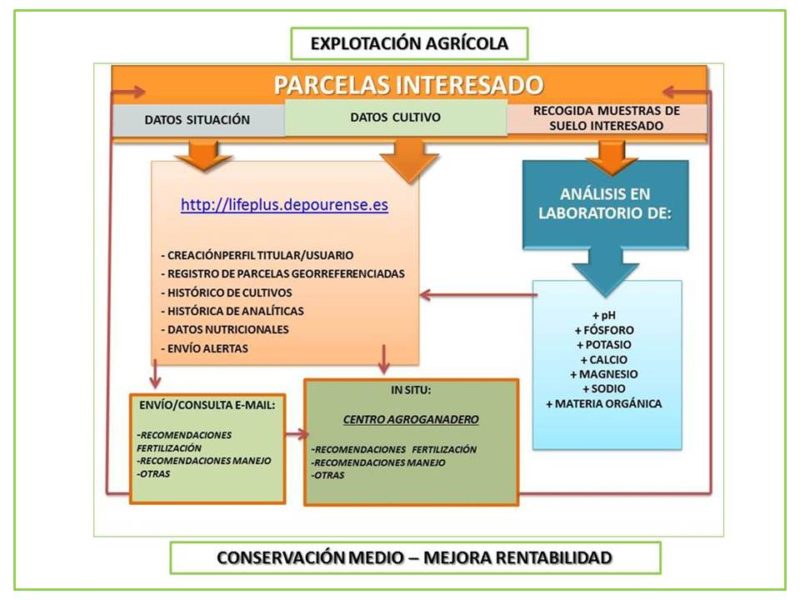 20190218_Actualizacion_Contenidos_Web_Regeneralimia-15