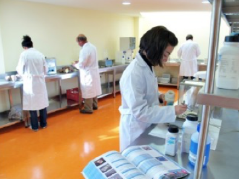 Diseño sin título (3) Diseño sin título (3)