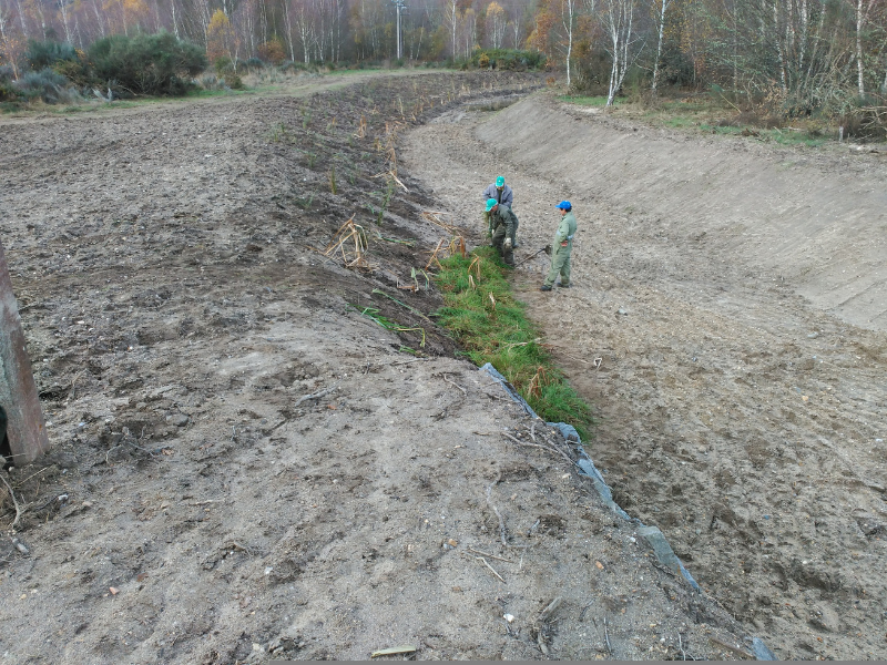 Diseño sin título (4) Diseño sin título (4)