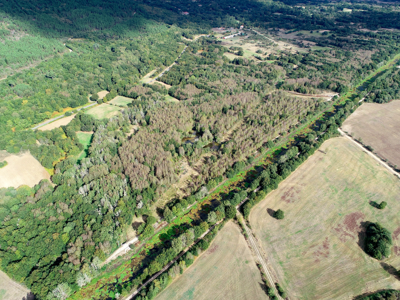 Diseño sin título (5) Diseño sin título (5)