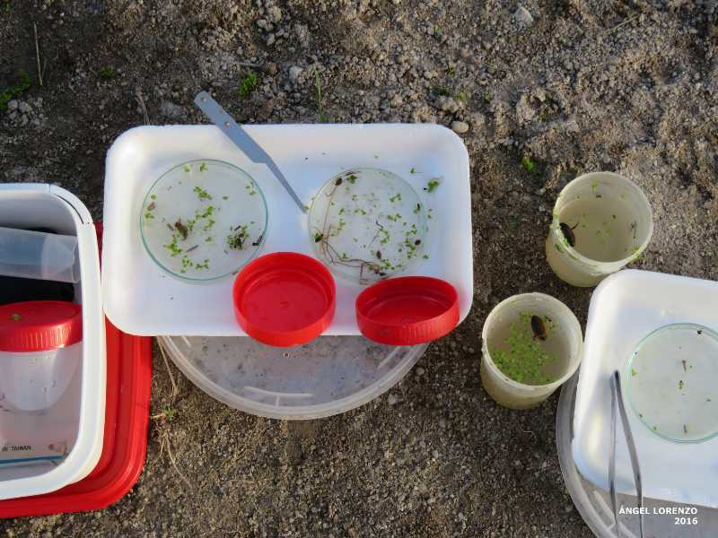 Diseño sin título (6) Diseño sin título (6)