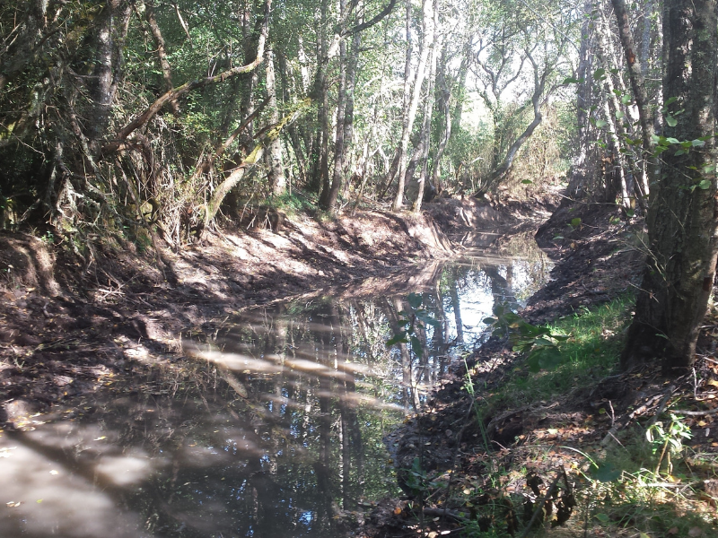 Diseño sin título (4) Diseño sin título (4)